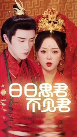 日日思君不见君