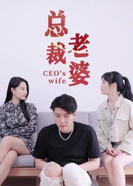总裁老婆