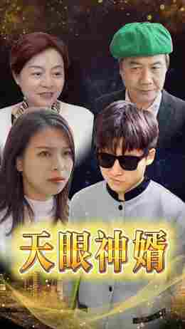 天眼神婿