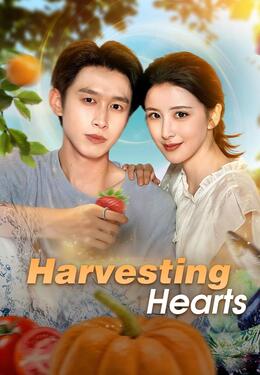 Harvesting Hearts