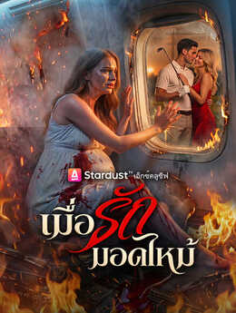 เมื่อรักมอดไหม้