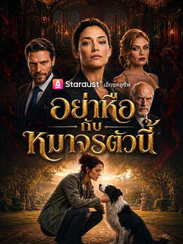 อย่าหือกับหมาจรตัวนี้
