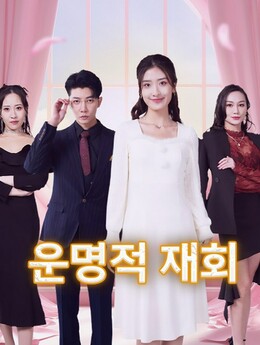 운명적 재회모든 에피소드 무료 보기