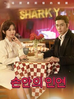 손안의 인연모든 에피소드 무료 보기