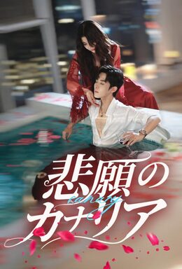 悲願のカナリア