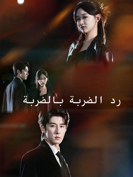 رد الضربة بالضربة