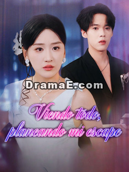 Viendo todo, planeando mi escape