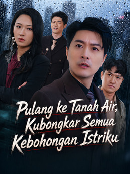 Pulang ke Tanah Air, Kubongkar Semua Kebohongan Istriku poster