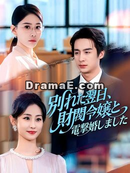別れた翌日、財閥令嬢と電撃婚しました