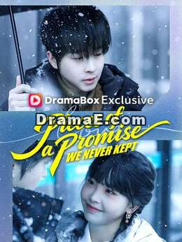 Pieces of a Promise We Never Kept