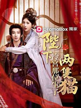 陛下，冷宮那位生了兩隻“貓”