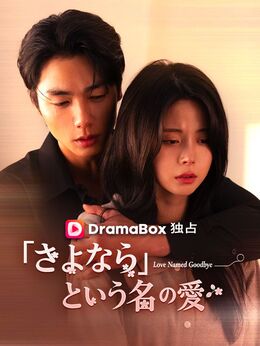 「さよなら」という名の愛（吹き替え）