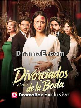 Divorciados el día de la boda
