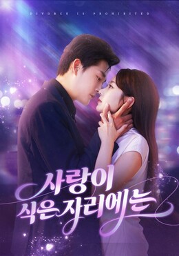 사랑이 식은 자리에는(더빙)모든 에피소드 무료 보기