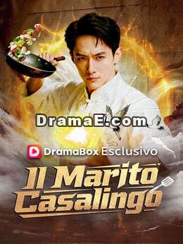 Il Marito Casalingo