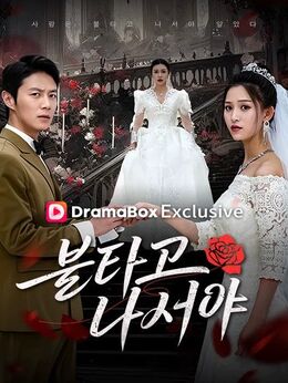 불타고 나서야(더빙)