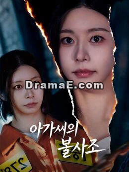 아가씨의 불사조