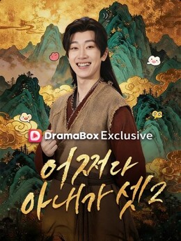 어쩌다 아내가 셋2(더빙)