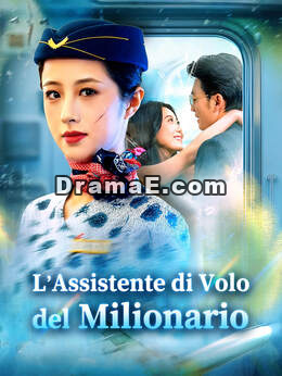 L’Assistente di Volo del Milionario