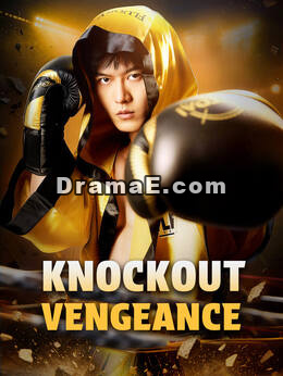 Knockout Vengeance