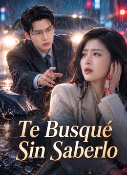 [Doblado]Te Busqué Sin Saberlo poster