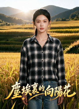 塵埃裏的向陽花 poster