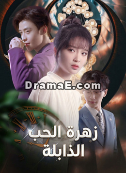 زهرة الحب الذابلة