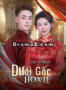 [Lồng Tiếng]Gặp Lại Người Dưới Gốc Hoa Lê