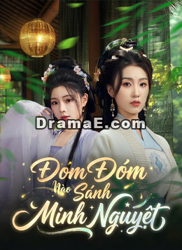 Đom Đóm Nào Sáng Bằng Ánh Trăng