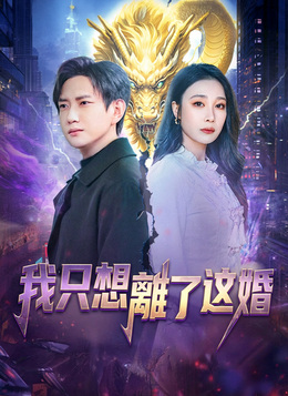 我只想離了這婚