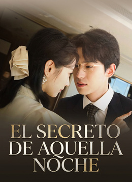 El Secreto de Aquella Noche