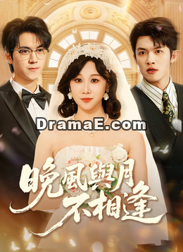 晚風與月不相逢