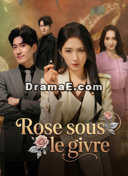 Rose sous le givre