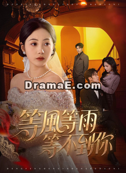 等風等雨，等不到你