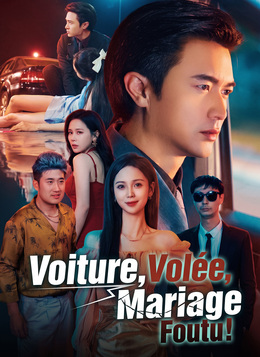 [Doublé]Voiture Volée, Mariage Foutu ! poster