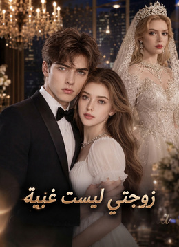 زوجتي ليست غبية poster