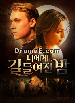 너에게 길들여진 밤