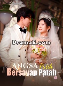 Angsa Putih Bersayap Patah