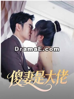 傻妻是大佬
