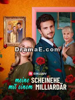 Meine Scheinehe mit einem Milliardär