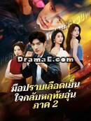มือปราบเลือดเย็น ใจกลับหฤทัยอุ่น ภาค 2