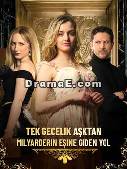 Tek Gecelik Aşktan Milyarderin Eşine Giden YolTüm Bölümleri Ücretsiz İzle