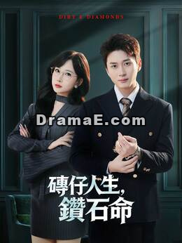 磚仔人生，鑽石命