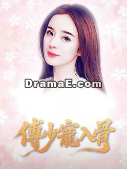 傅少寵入骨
