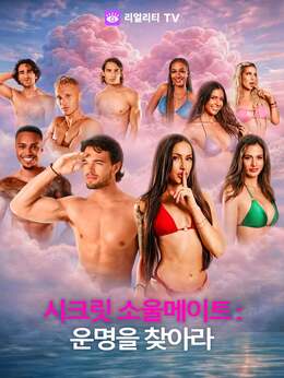 시크릿 소울메이트: 운명을 찾아라