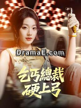 乞丐總裁硬上弓全集免費看