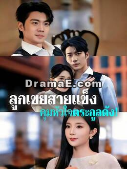 ลูกเขยสายแข็ง คุมหัวใจตระกูลดัง!