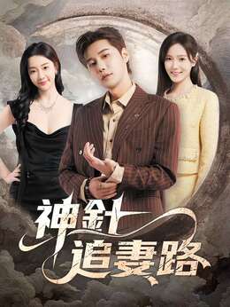 神針追妻路