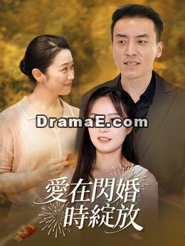 愛在閃婚時綻放