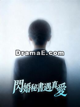 闪婚秘書遇真愛全集線上看